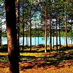 אתר נופש Ukonjaerven Village 3*