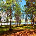 Ośrodek wypoczynkowy Ukonjaerven Village Ivalo
