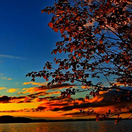 Ukonjaerven Village Resort Ivalo