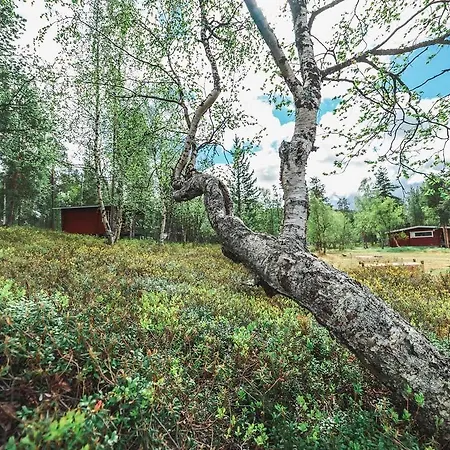 Ukonjaerven Village Rezort Ivalo