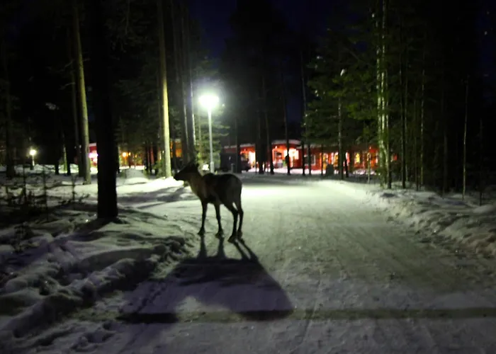 Semesteranläggning (resort) Ukonjaerven Village 3*