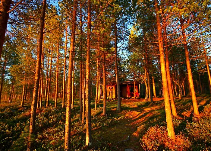 Ukonjaerven Village 3*